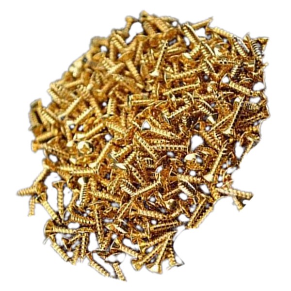 30 chiếc Ốc vít kim loại mạ vàng cho đàn ghi ta Fender strat / guitar
