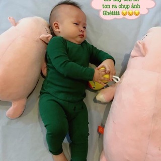Bộ bozip trơn