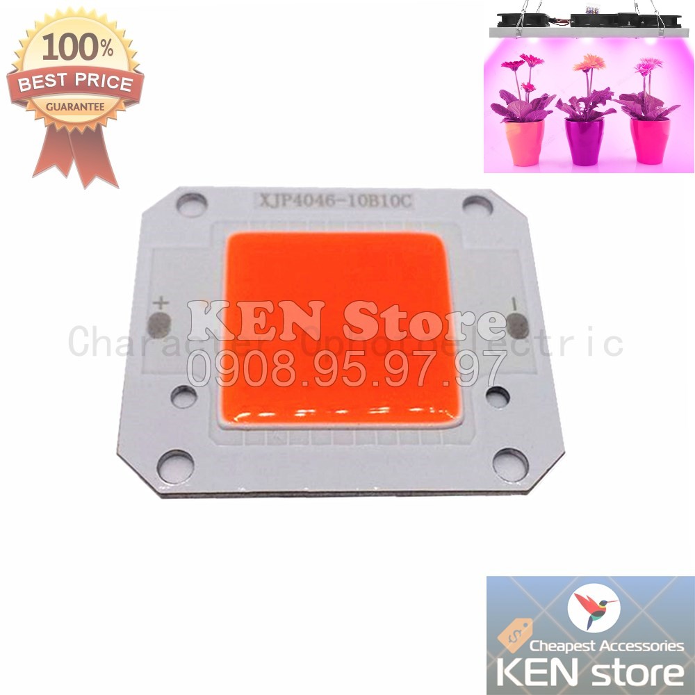 Chip led, nhân led 50W điện 12V DC | BigBuy360 - bigbuy360.vn