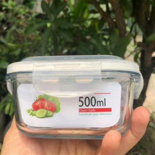 Thố Thủy Tinh Cao Cấp Ferroli 500ML