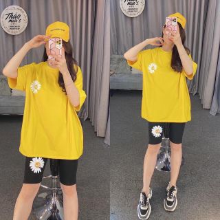 (4 màu) Set bộ nữ lửng hoa cúc siêu xinh