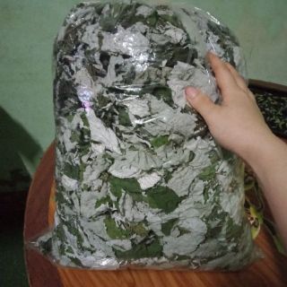 Lá gai khô 500g
