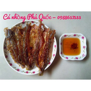 CÁ NHỒNG PHÚ QUỐC