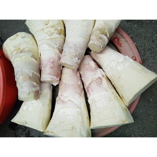 Măng luộc sẵn 500gr
