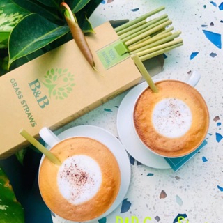 Ống hút cỏ bàng B&B (hộp 100 ống)