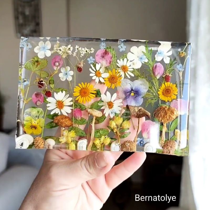 Hoa viola  ép khô dùng trong resin, ép khung ảnh hoa khô handmade