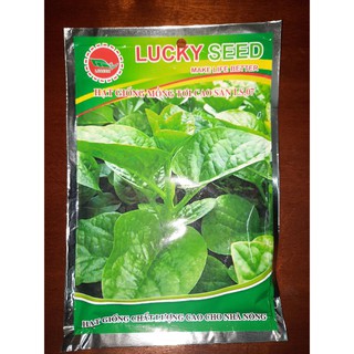 HẠT GIỐNG RAU MỒNG TƠI (LUCKY)
