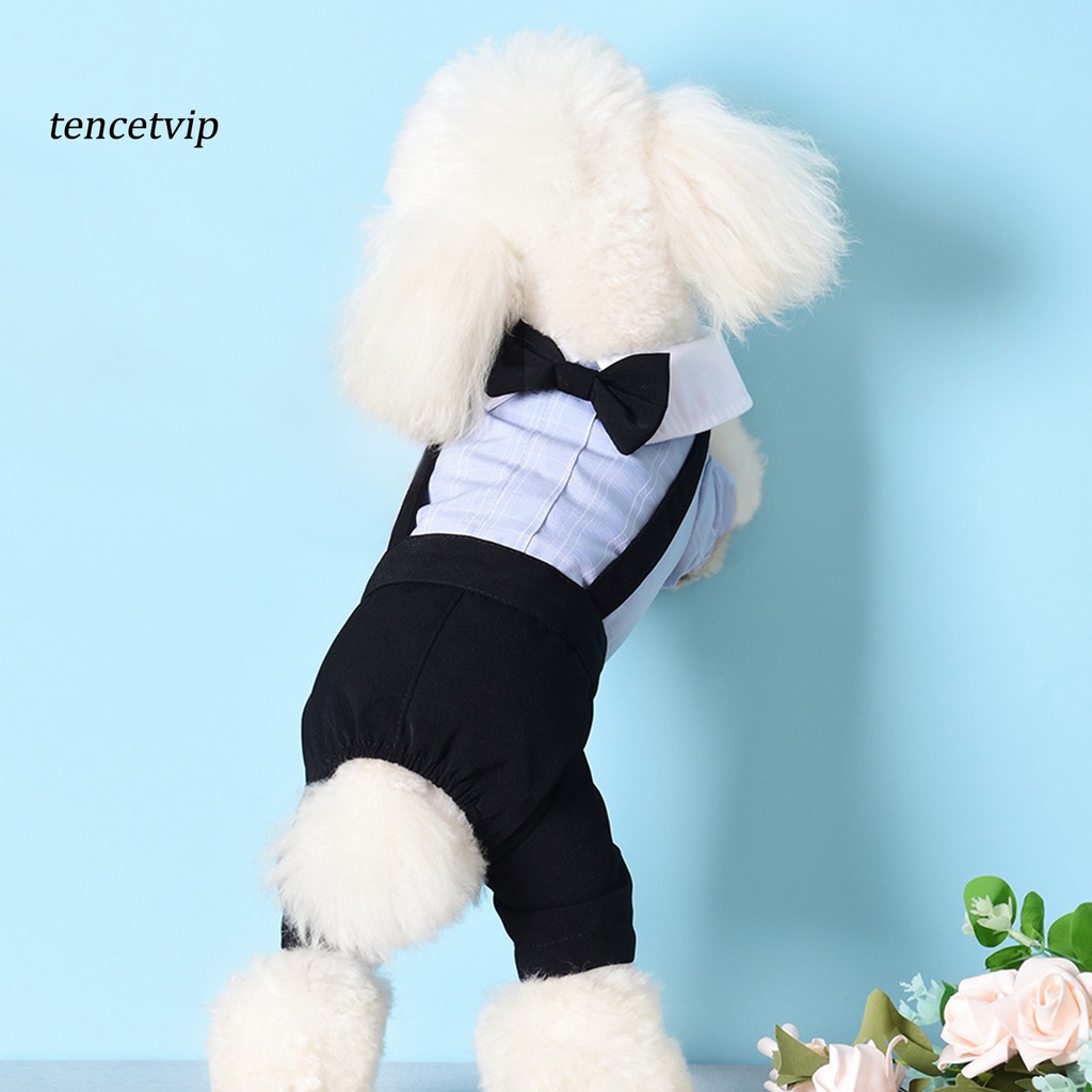 Tencetvip Đầm Vải Không Đường May Dễ Thương Phù Hợp Cho Cún Cưng Ngoài Trời