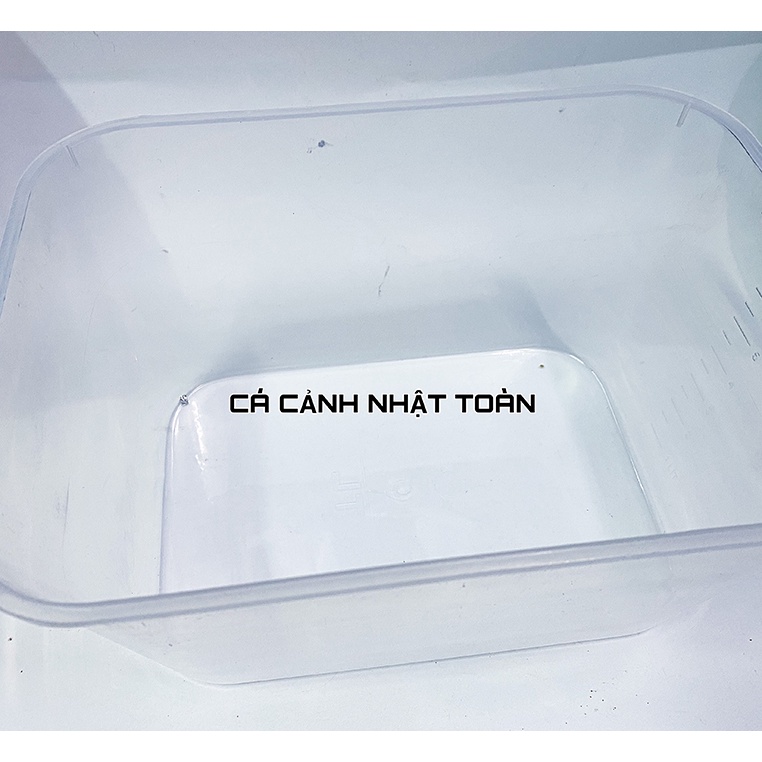 THÙNG NHỰA 7 LÍT NUÔI CÁ BẢY MÀU BETTA 30X22X16CM MÀU TRONG
