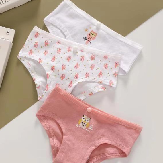 Quần Chíp Bé Gái,Quần Lót Bé Gái Set 3 chip nguyên hộp Kháng Khuẩn 100% Cotton hàng xuất dư size từ 5-12 tuổi 2-7 tuổi