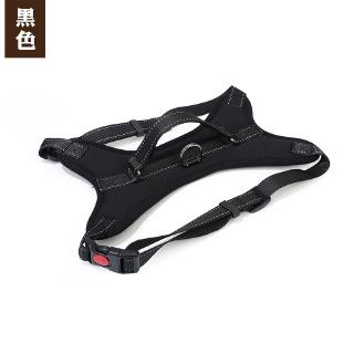Dây Dắt Chó Husky Chuyên Dụng