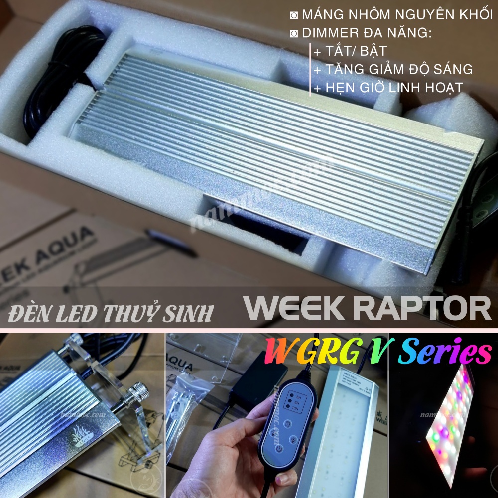 Đèn LED Thuỷ Sinh WEEK RAPTOR WRGB V Series 2021 - Bản Nâng Cấp Có Dimmer Điều Chỉnh Độ Sáng &amp; Hẹn Giờ