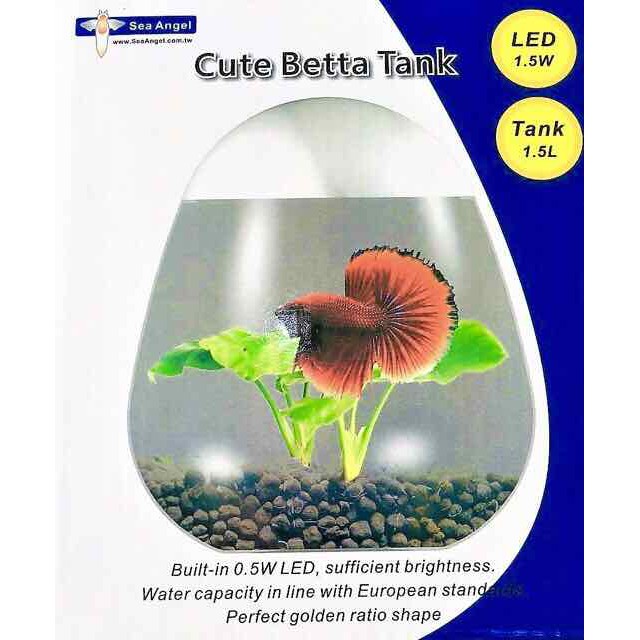 HỒ CÁ BETTA MINI CUTE BETTA TANK