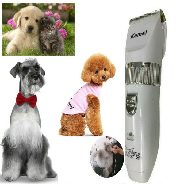 Pet clipper