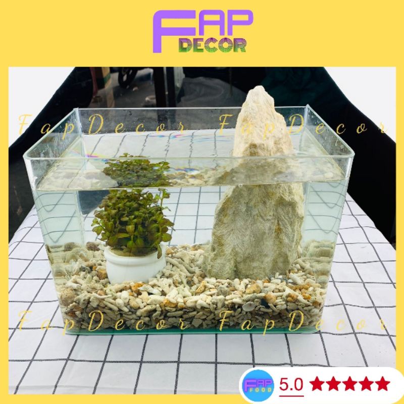 Đá Thủy Sinh, Đá Vôi Trang Trí Bể Cá Làm Hòn Non Bộ, Làm Vườn Trang Trí Nhà Cửa - FapFood