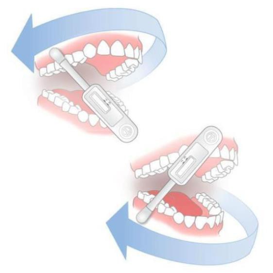 COMBO 2 Que test HIV bằng dịch miệng OraQuick không cần lấy máu