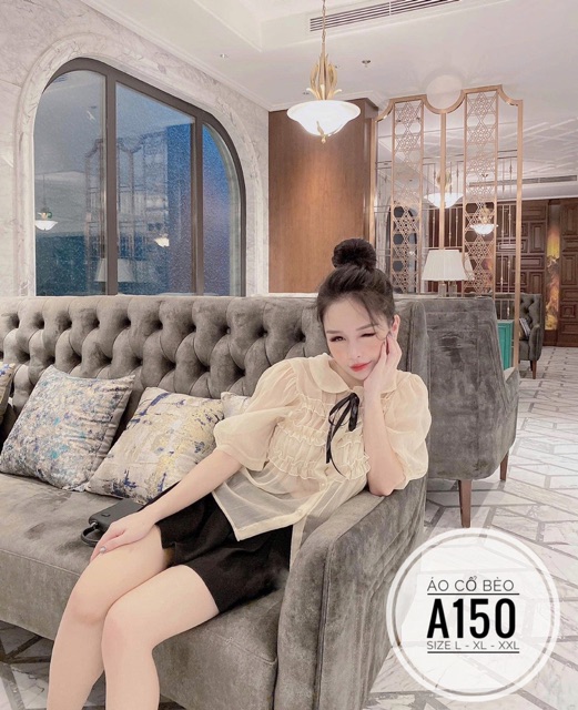 Bigsize Áo cổ bèo A150