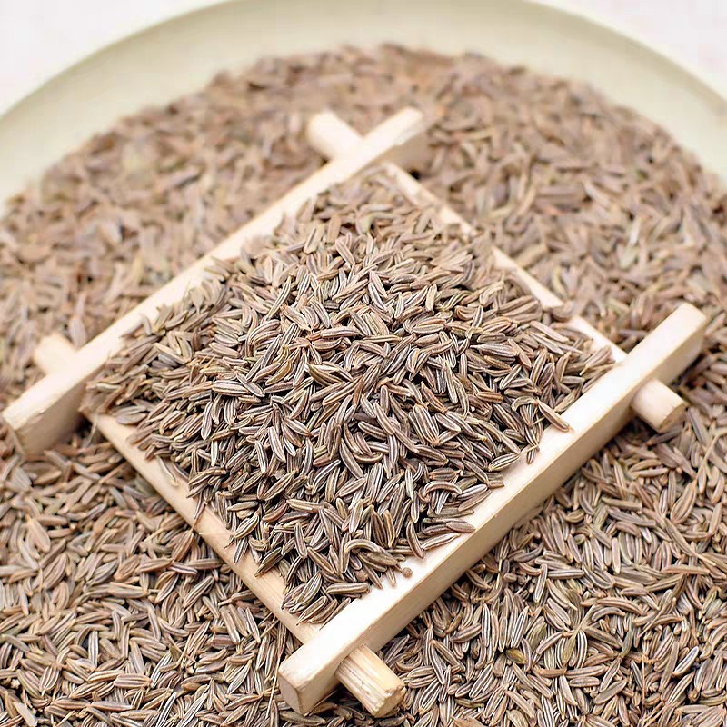 50-100gr Caraway seed/ Hạt thì là Ba Tư/ Hạt Caraway