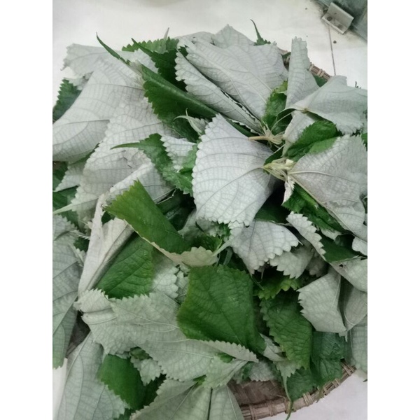 Củ gai tươi an thai 1kg sạch HN