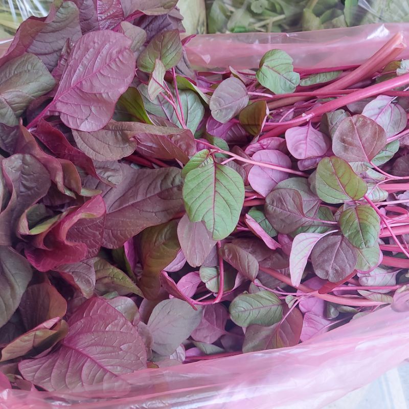 Rau Dền Vườn Trồng Sạch 1kg Q12 Giao HCM | BigBuy360 - bigbuy360.vn