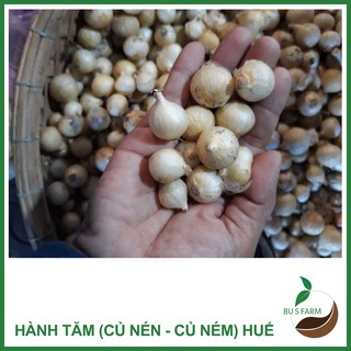 Củ ném - đặc sản huế - nhà trồng