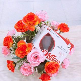 Cốc nguyệt san mtcup