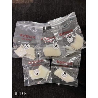 500 móng típ nối Hàn Quốc - Ann933233