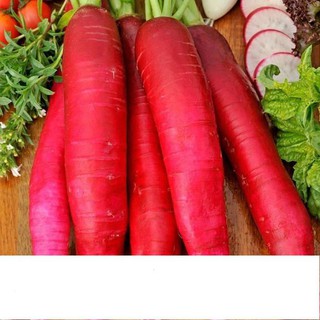 Hạt giống củ cải đỏ dài năng suất cao 2gr