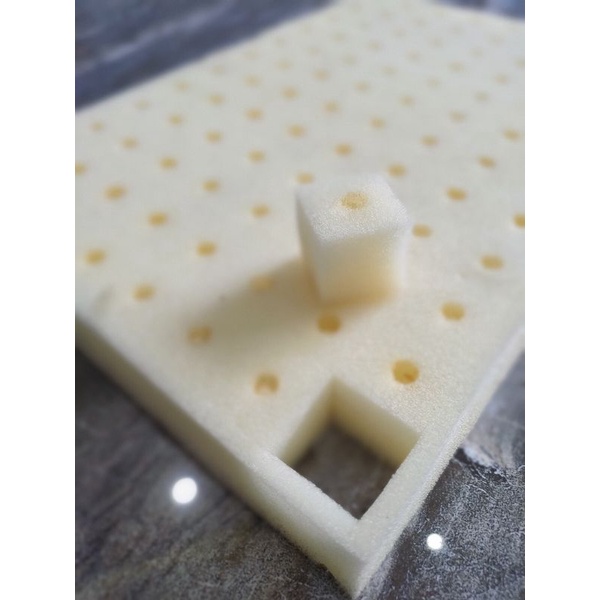 💥  Mút ươm Thủy canh🌱