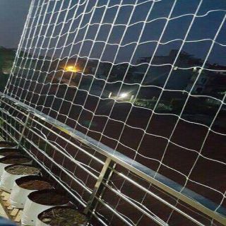 Lưới leo dàn thông minh