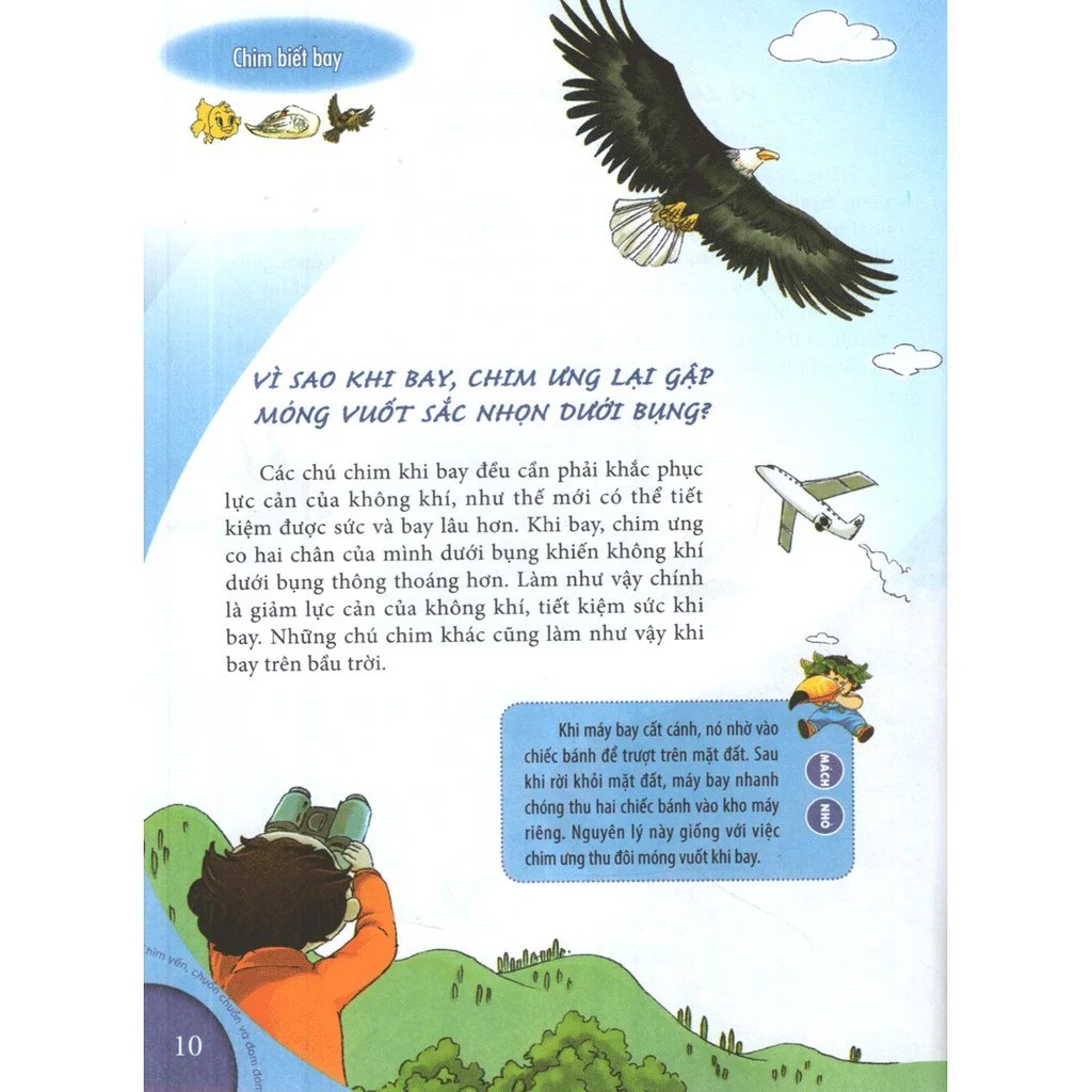 Sách - 10 Vạn Câu Hỏi Vì Sao - Chim Yến, Chuồn Chuồn &amp; Đom Đóm