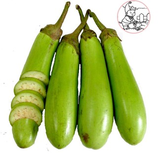 HẠT CÀ XANH MỠ DÀI - GÓI 1 GRAM