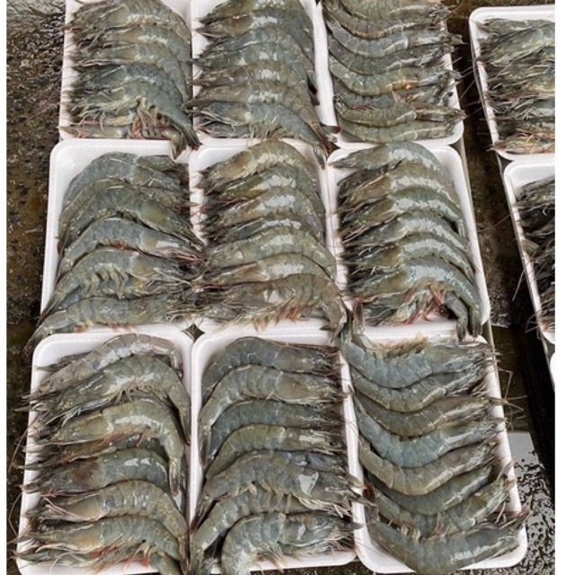 (DTFood-CHUYÊN SỈ) TÔM LỘT SIÊU TO NGON KHAY 500gr HÀNG VỀ MỖI NGÀY | BigBuy360 - bigbuy360.vn