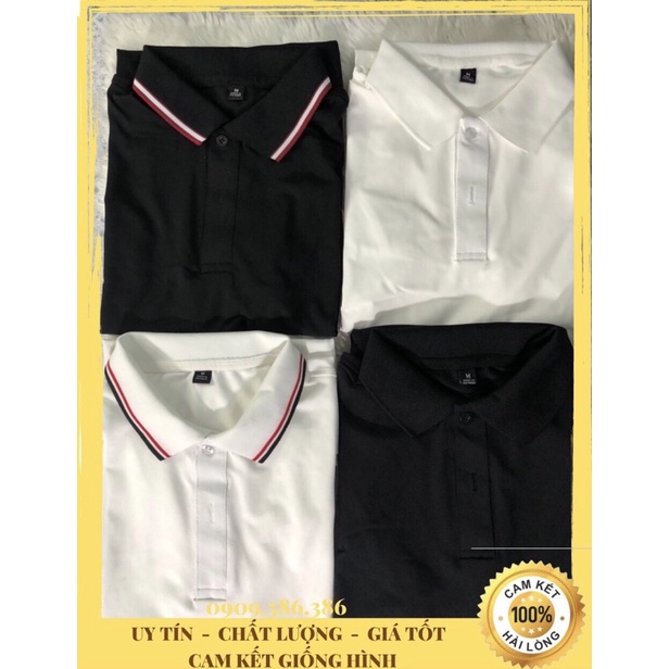 Áo polo nam nữ - Áo thun nam polo basic cao cấp trắng đen đủ size chất đẹp | BigBuy360 - bigbuy360.vn