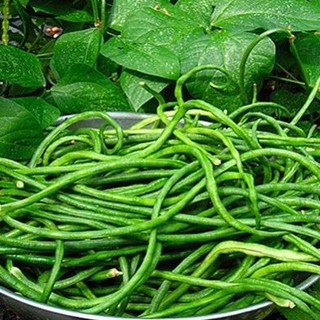 10g HẠT GIỐNG ĐẬU ĐŨA NGỌT CAO SẢN