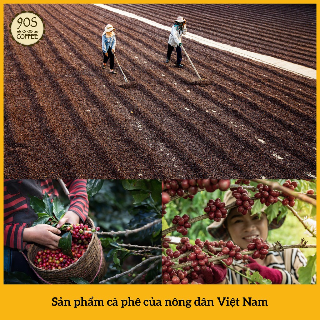 [HOT] Túi  250Gr Cà Phê Moka Cầu Đất Nguyên Chất Rang Mộc | 100% Cà Phê Sạch | 90S Coffee Vietnam | BigBuy360 - bigbuy360.vn