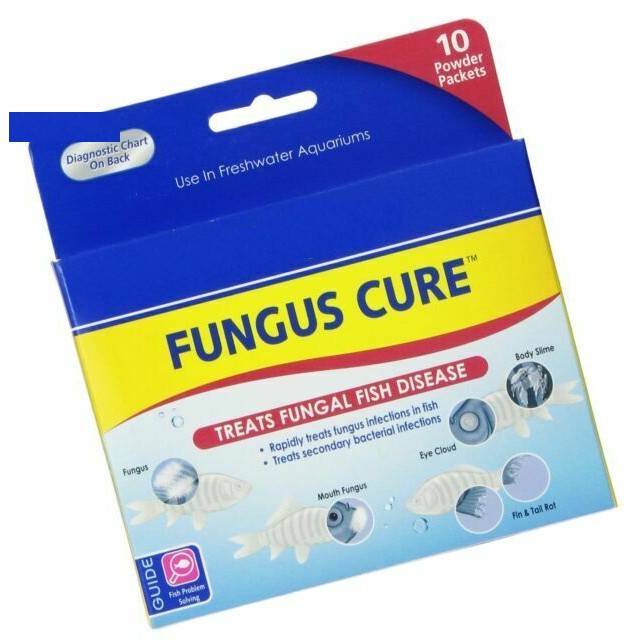 Trị Nấm Và Khuẩn Hại Api Fungus Cure - gói 10gr