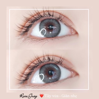 Lens giãn nhẹ ROZE bán chạy nhất shop