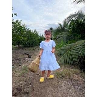 Túi bụng / Chậu cói / Túi cói trồng cây, đựng đồ đa năng