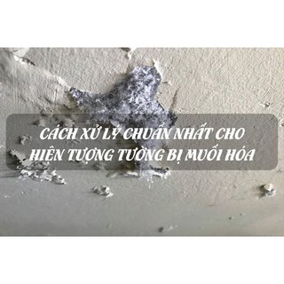 CM01- Chống muối hóa
