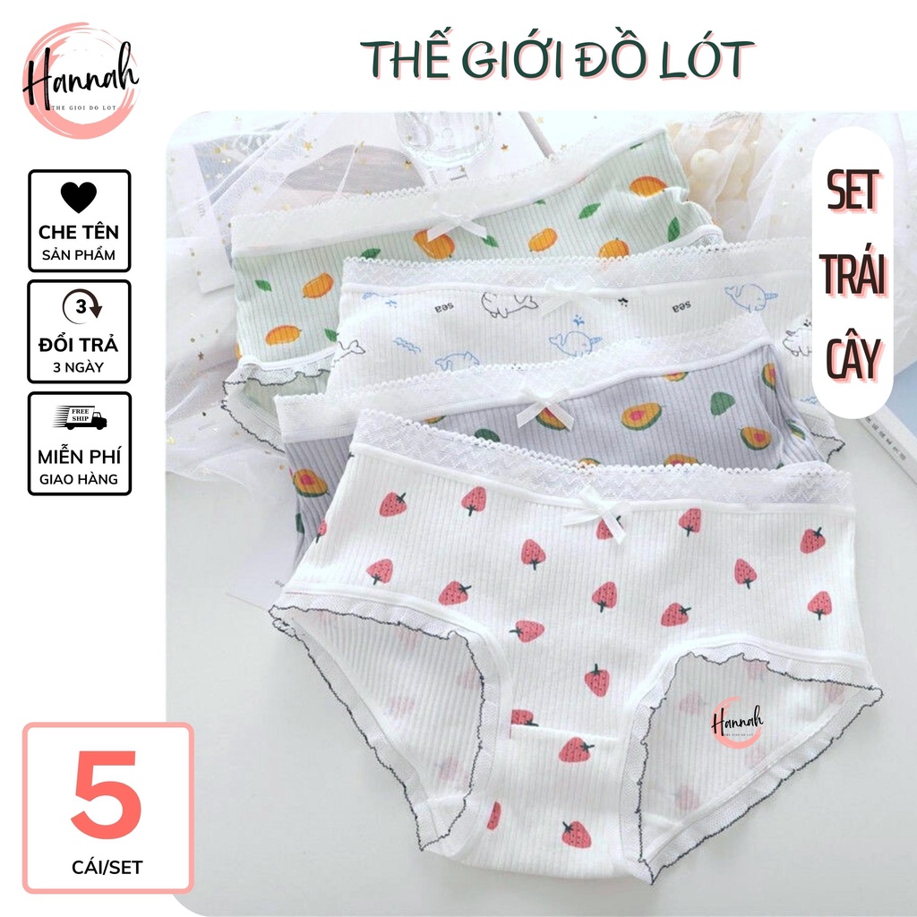 Set 5 quần lót cotton nữ HANNAH SECRET quần chip nữ cotton kháng khuẩn cao cấp hoạ tiết dễ thương