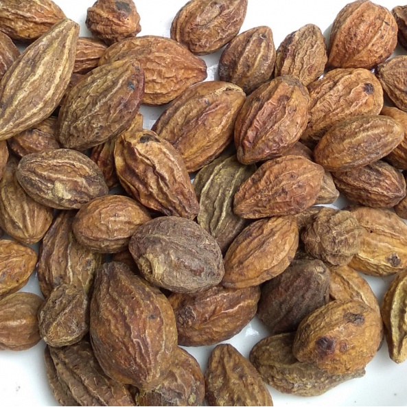 Hạt Kha Tử (Quả Chiêu Liêu) 300g Giảm Ho, Khàn Tiếng, Trái Kha Tử Loại 1 Sạch, Đẹp Ngậm Giảm Đau Họng