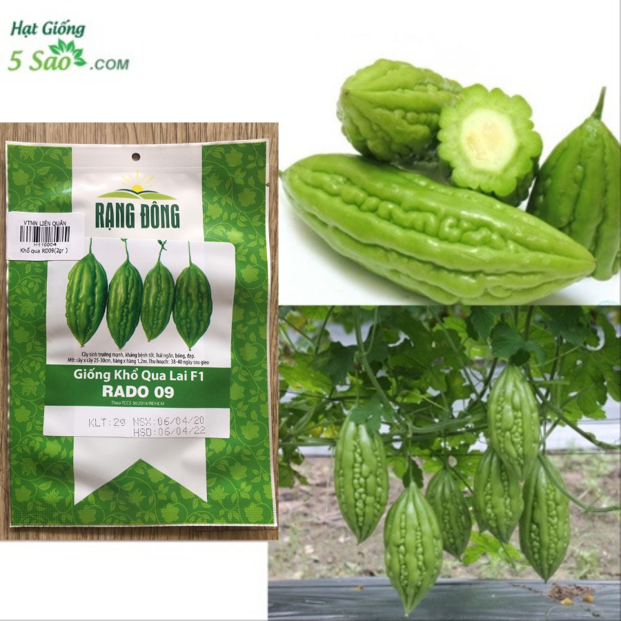 Khổ Qua Lai F1 RaĐo 09 - RẠNG ĐÔNG
