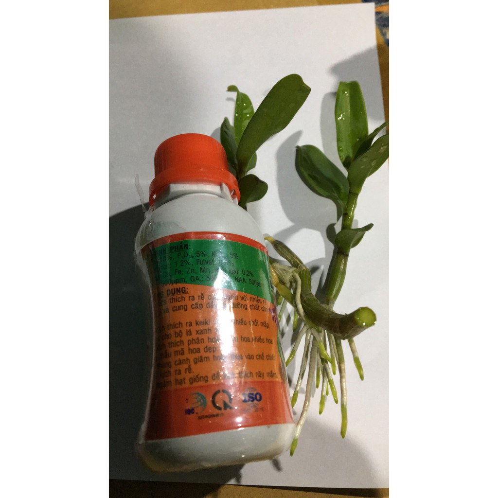 Vitamin B1 Thái nhập khẩu đóng gói tại Việt Nam lọ 100ml