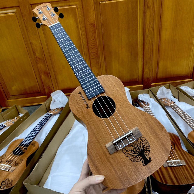 Đàn Ukulele Concert Deviser - Tặng đầy đủ phụ kiện