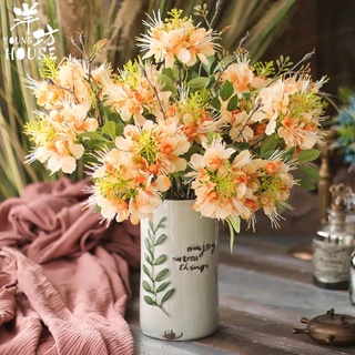 Hoa giả - Hoa phượng hoàng