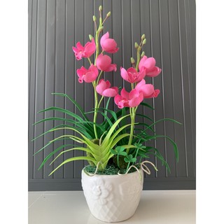 chậu hoa địa lan bằng đất sét