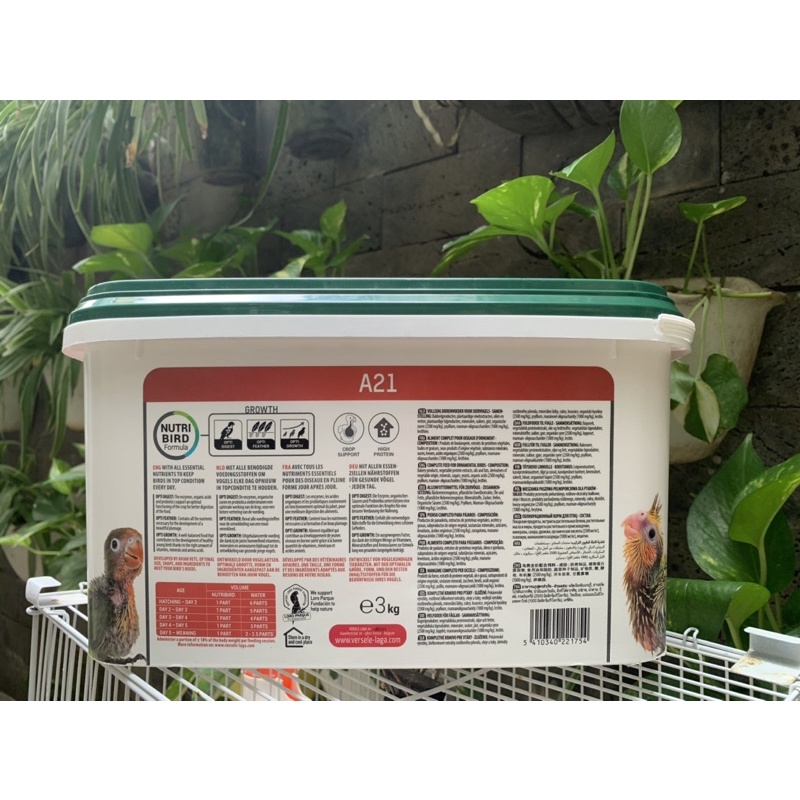Bột A21 và A19 cho chim non 100gr date mới nhất