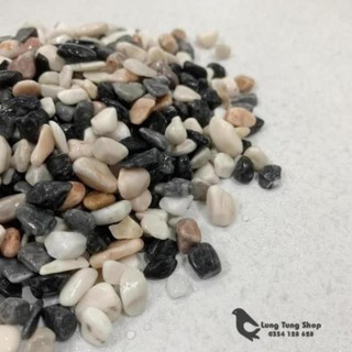 Sỏi ba màu tự nhiên ( chọn size )