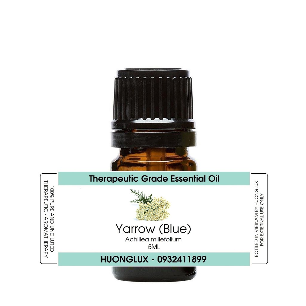 Tinh dầu cúc Vạn diệp Yarrow Essential Oil (Blue)